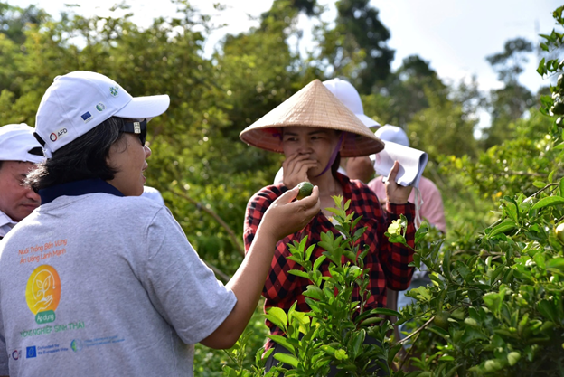 Liên hệ PHANO
