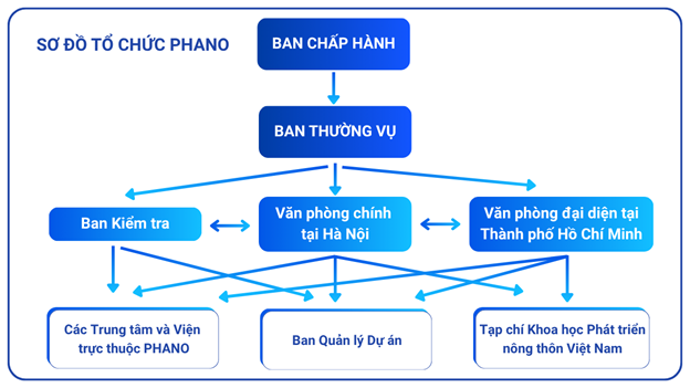 Sơ đồ tổ chức PHANO