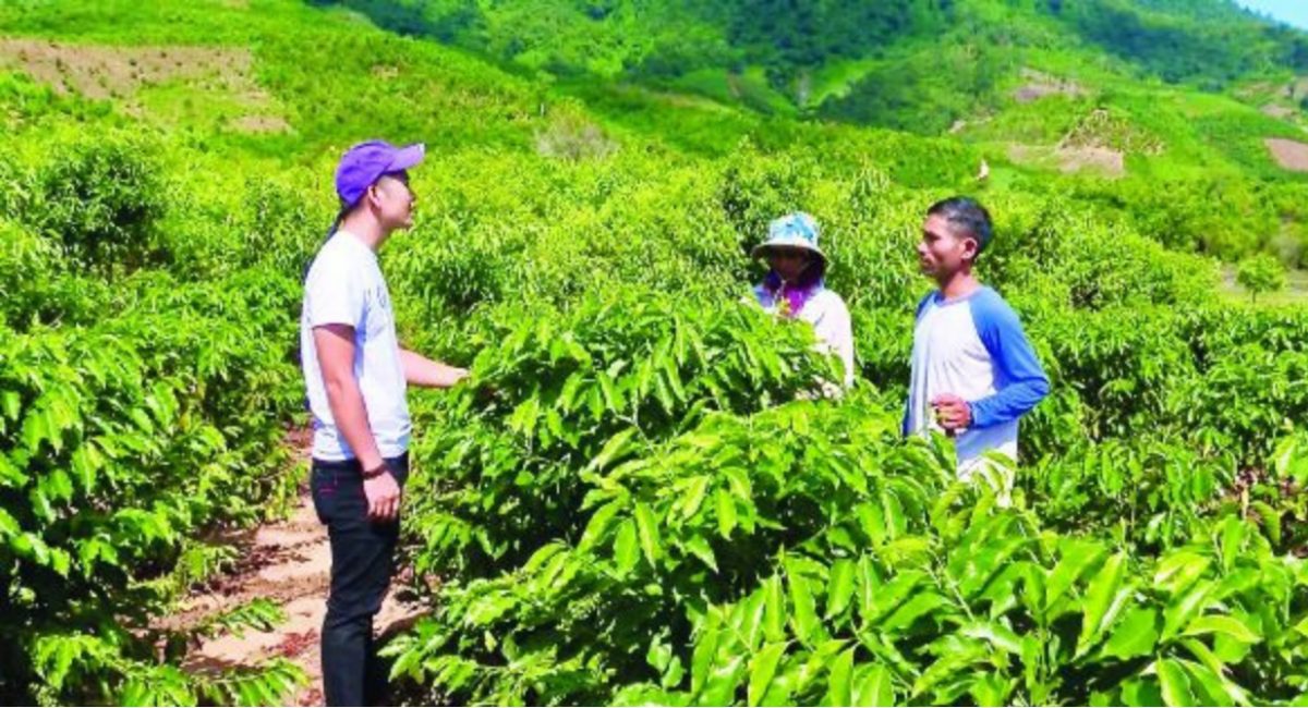Hướng tới nông nghiệp sinh thái, nông thôn hiện đại, nông dân chuyên nghiệp, văn minh