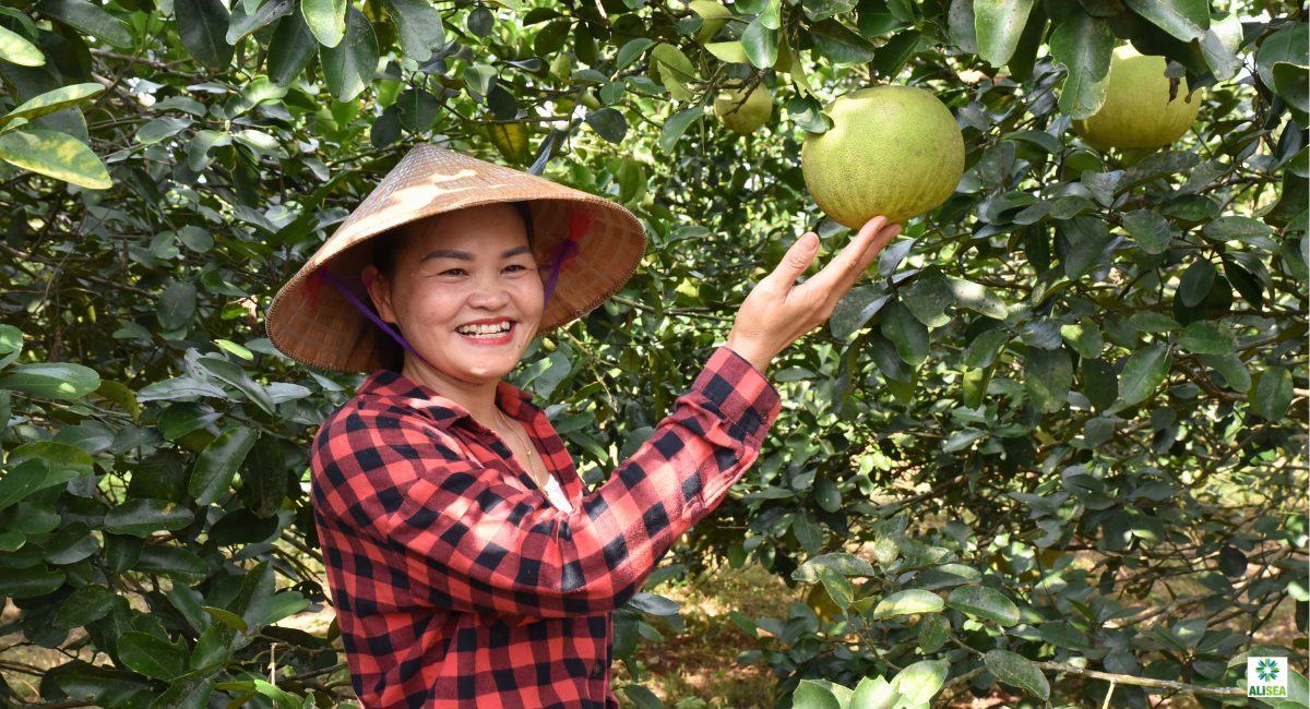 Phát triển chỉ dẫn địa lý cho hàng nông sản trở thành công cụ xây dựng nông thôn mới bền vững của Việt Nam