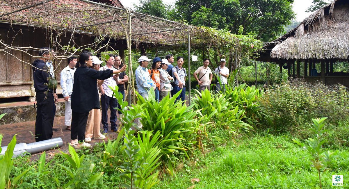 Phát triển nông thôn toàn diện